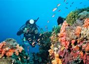 Дайвинг на Бали – лучшие места и пляжи