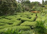 ботанический сад Бали, ботанический сад Убуд