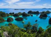 Экскурсия-путешествие с Бали на остров Комодо: как добраться, что посмотреть